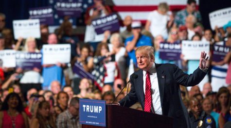 Donald Trump speaking at one of his political rallies in 2015.