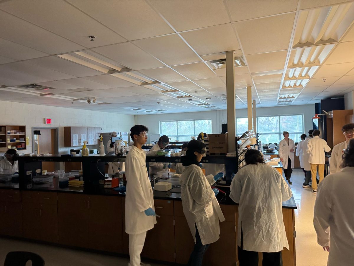 Students in the biotechnology lab use the light from the hallway to work in a half-lit room. “Every time the power goes out, it tends to happen in the renovated part of the building because we’re on two different power grids,” Boswell said.